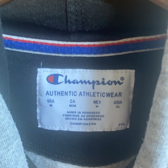 Champion Classic Logo Hoody with black interior hood - Picture 5 of 11